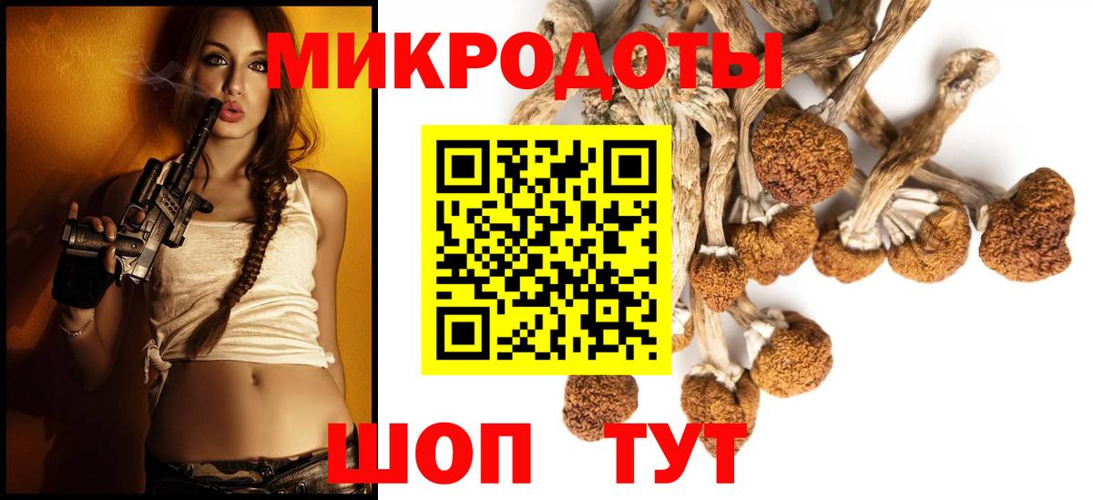 Галлюциногенные грибы мухоморы Канск