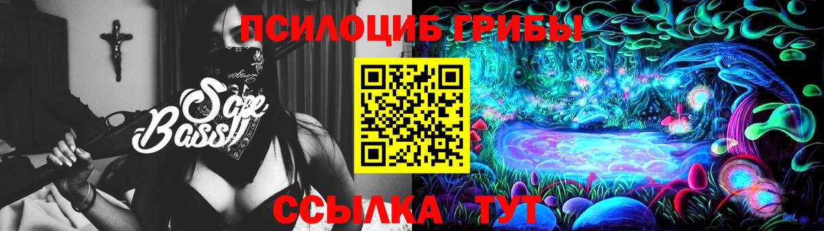 Псилоцибиновые грибы MAGIC MUSHROOMS  Вход с VPN  Канск  Галлюциногенные грибы Psilocybine cubensis 